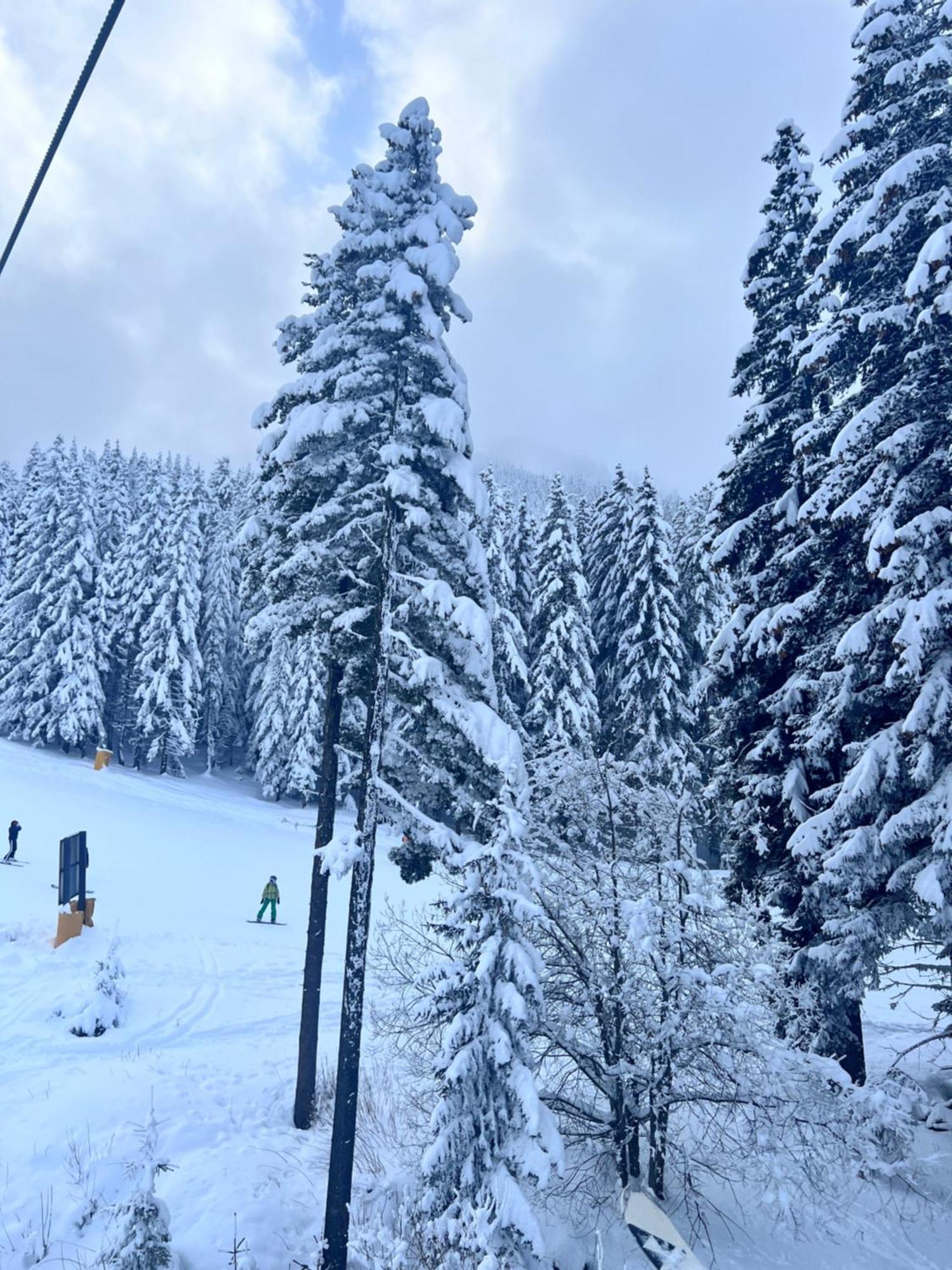 Dimitri Apartament Emerald , Near Gondola Bansko Exteriér fotografie