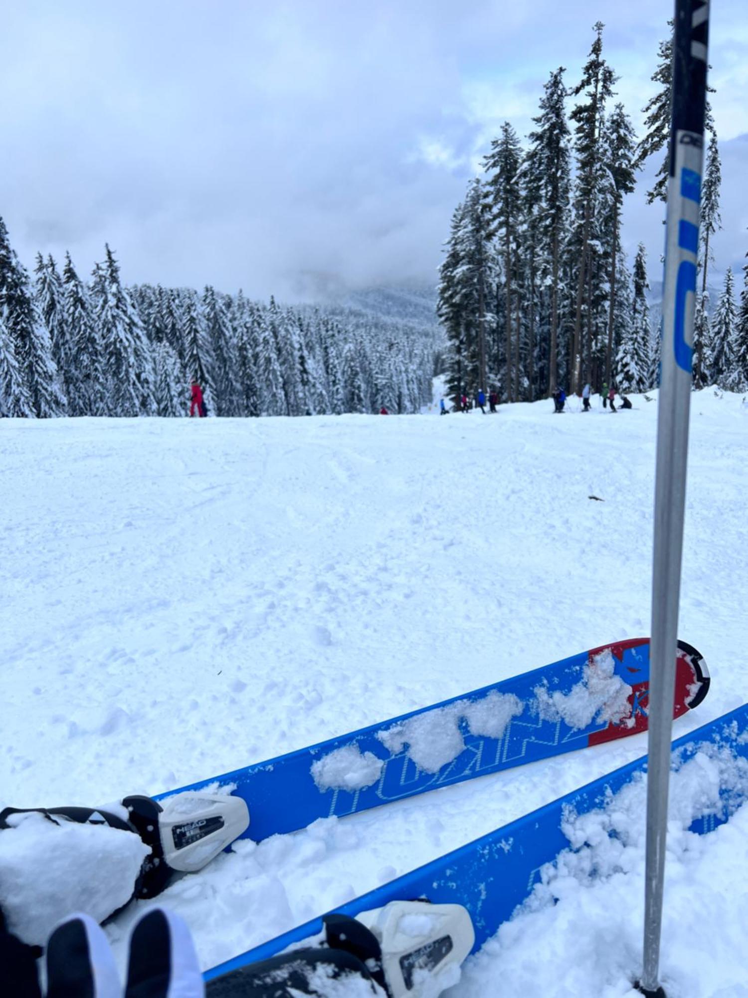 Dimitri Apartament Emerald , Near Gondola Bansko Exteriér fotografie