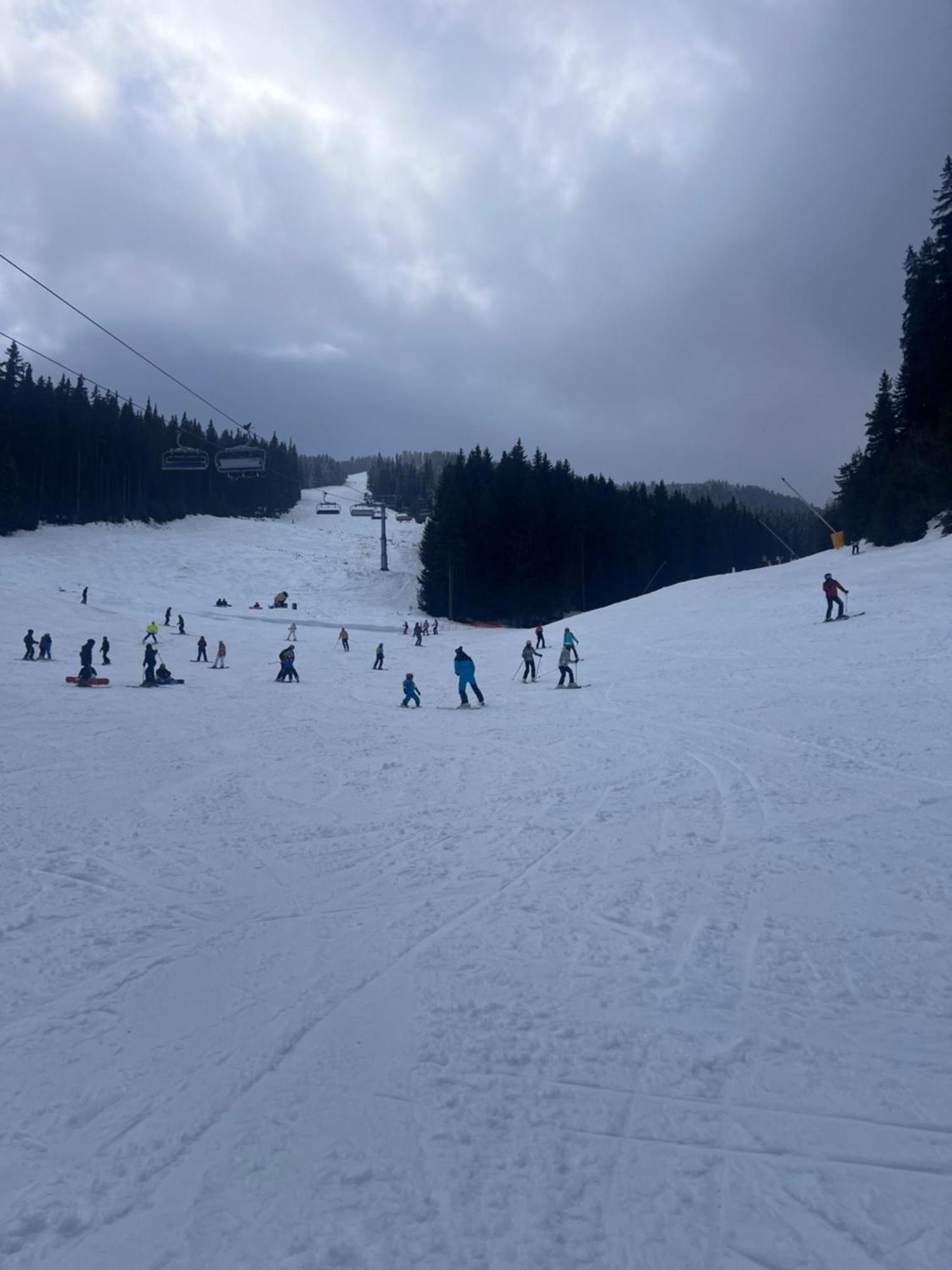 Dimitri Apartament Emerald , Near Gondola Bansko Exteriér fotografie